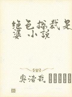 绝色总裁是我老婆 小说