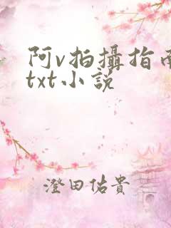 阿v拍摄指南说txt小说