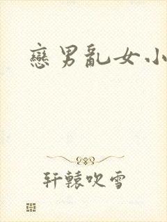 恋男乱女小说