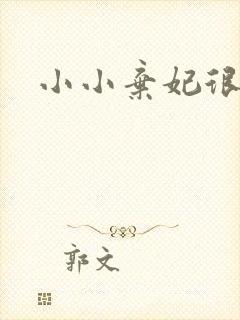 小小弃妃很倾城