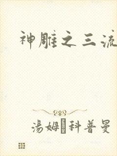 神雕之三流