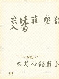 宋晓薛 双龙齐入菊