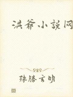 洪爷小说网