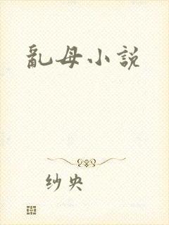 乱母小说