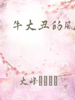 牛大丑的风流记