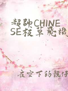 超帅CHINESE校草飞机BLUE