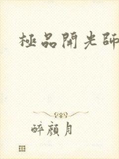 极品开光师阅读