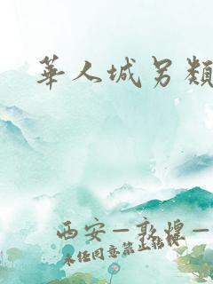 华人城另类小说