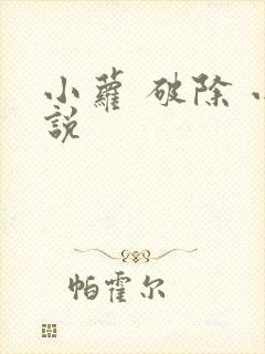 小萝 破除 小说