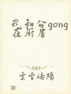 我和公gong在厨房