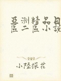 亚洲精品日韩一区二区小说
