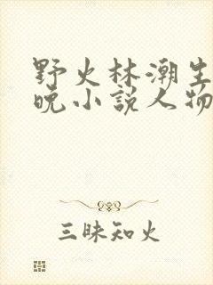 野火林潮生林晚晚小说人物野火
