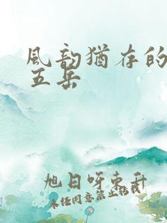 风韵犹存的四十五岳