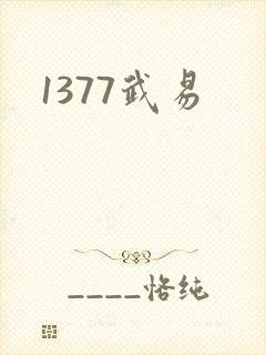 1377武易