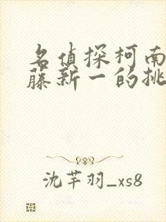 名侦探柯南给工藤新一的挑战书