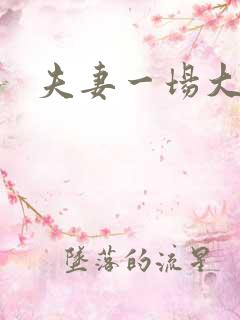 夫妻一场大结局