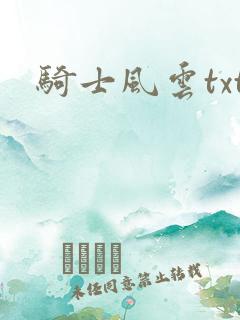 骑士风云txt