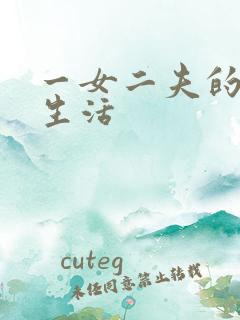 一女二夫的激情生活