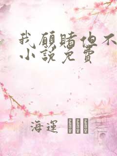 我愿赌但不服输小说免费