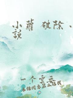 小萝 破除 小说