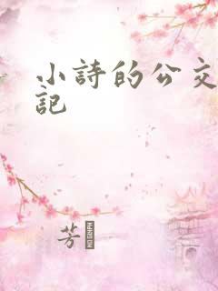 小诗的公交车日记