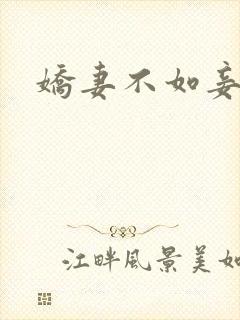娇妻不如妾