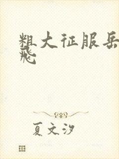 粗大征服岳女双飞