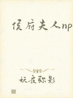 侯府夫人np