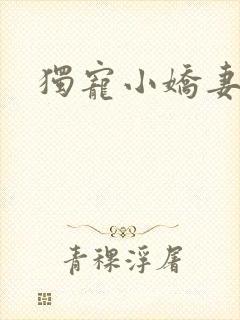 独宠小娇妻
