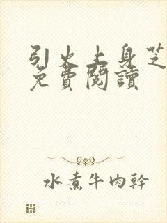 引火上身芝麻糖免费阅读