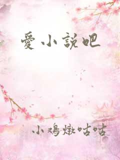 爱小说吧