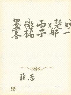 墨微雨x楚晚宁塞橘子哪一章