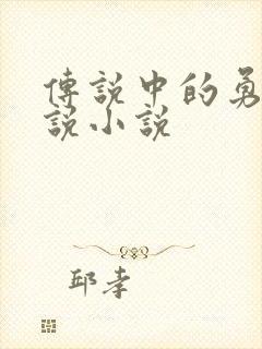 传说中的勇者传说小说