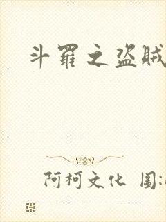 斗罗之盗贼