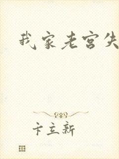 我家老宫失忆了