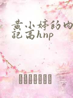 黄小婷的肉欲日记高hnp