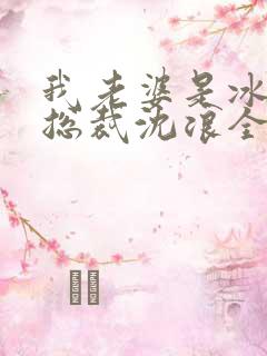 我老婆是冰山女总裁沈浪全集