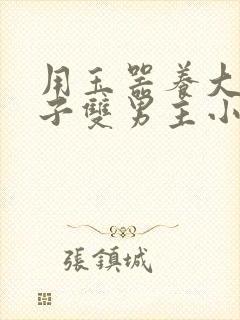 用玉器养大的皇子双男主小说