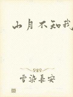 山月不知我心事