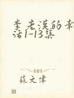 李老汉的幸福生活1-13集
