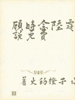 顾时念陆霆骁小说免费