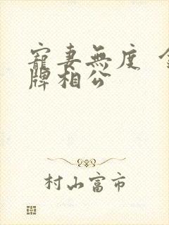 宠妻无度  金牌相公