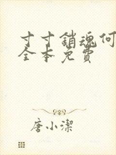 寸寸销魂何生祥全本免费