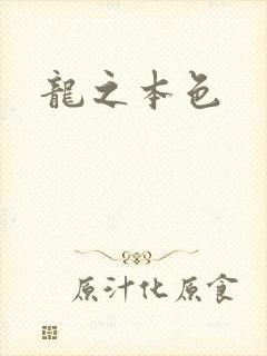 龙之本色
