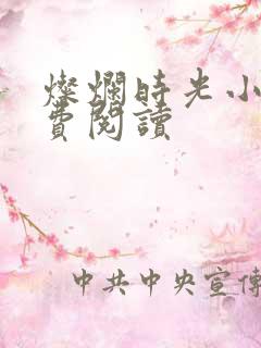 灿烂时光小说免费阅读