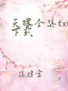 天眼全集txt下载