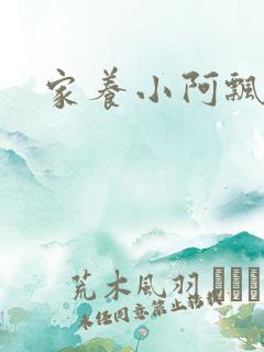 家养小阿飘殿下