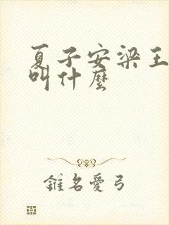 夏子安梁王书名叫什么