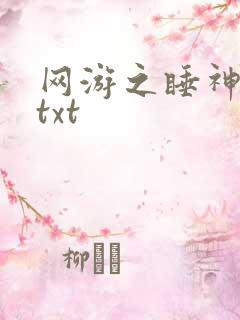 网游之睡神传说txt
