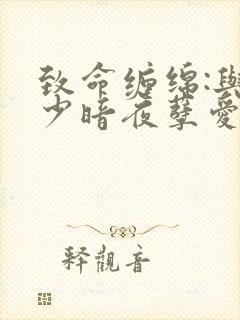 致命缠绵:与冷少暗夜孽爱